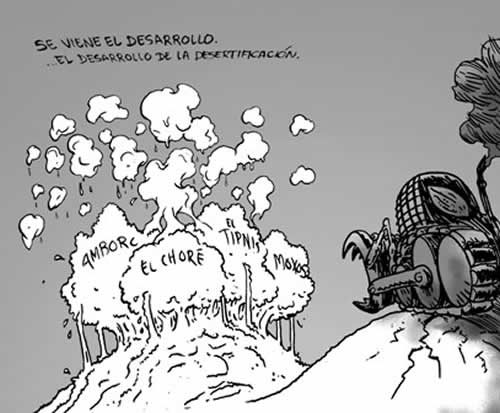 deforestation el dia 15 julio 2011