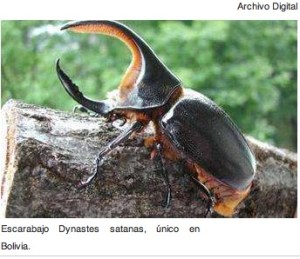 2012-12-10 08.48.00 am