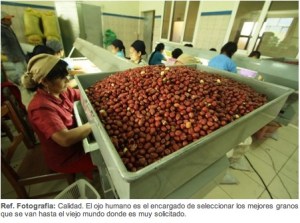 2012-12-26 05.43.17 am