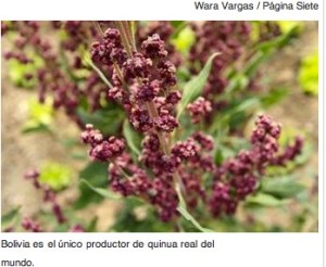 2013-01-17 09.43.28 am