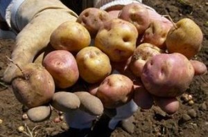 2013-03-08 06.53.33 pm