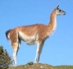 2013-05-17 08.32.37 am