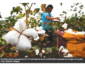 2013-06-12 08.18.52 am