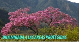 2013-08-02 08.56.55 am