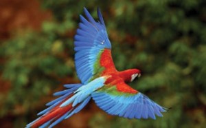 paraba La Prensa 3 Nov 11