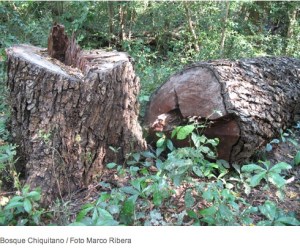 2013-10-04 11.29.24 am