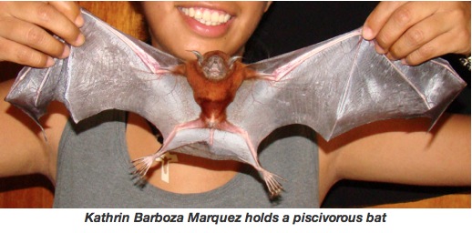 2013-11-14 08.51.59 am