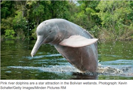 2014-05-07 11.53.41 am