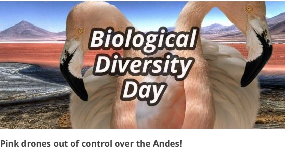 2014-05-26 09.52.33 am