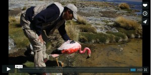 2014-05-26 09.55.49 am