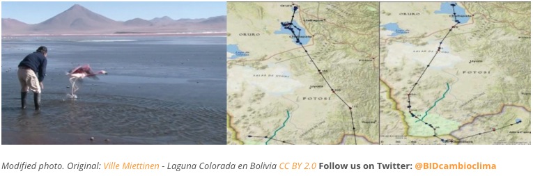 2014-05-26 09.58.33 am