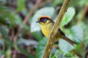 2014-06-12 11.20.07 am