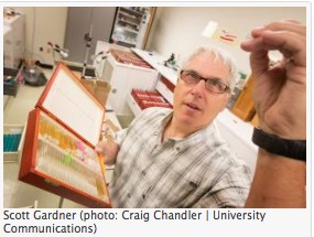 2014-07-26 09.22.43 am