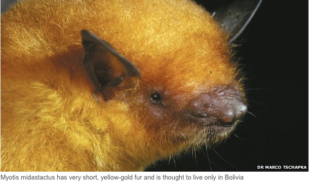 2014-08-04 12.04.17 pm