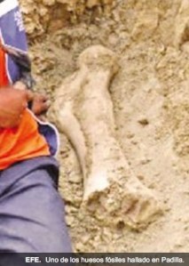 2014-08-30 08.55.14 am