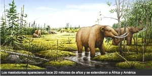 2014-08-30 09.02.30 am