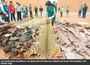 2014-09-13 08.30.12 am