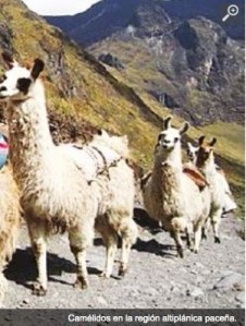 2014-09-18 09.56.11 am