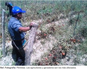 2014-10-19 10.27.43 am