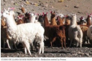 2014-10-20 07.13.40 am