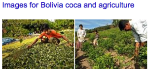 Screen Shot 2014-11-08 at 3.21.09 PM