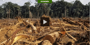 Screen Shot 2014-11-09 at 12.14.03 PM