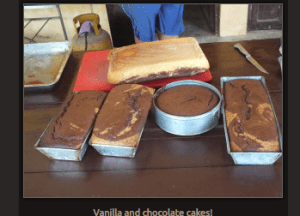 Screen Shot 2014-11-12 at 8.29.04 AM