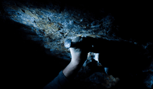 Screen Shot 2014-11-16 at 10.37.58 AM