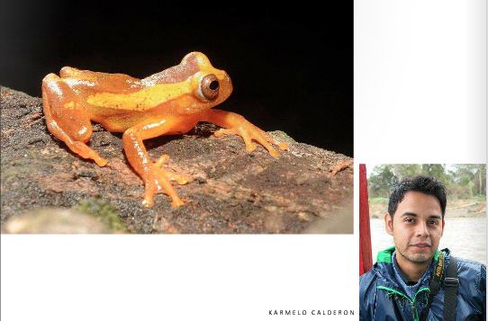 Screen Shot 2015-01-17 at 8.29.32 AM