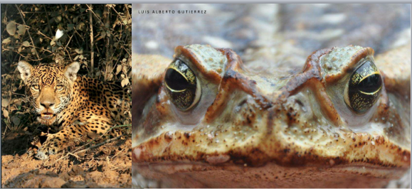 Screen Shot 2015-01-17 at 9.20.05 AM