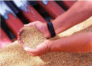 Screen Shot 2015-01-30 at 9.20.50 AM