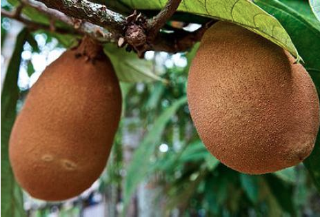 Screen Shot 2015-04-26 at 10.03.26 AM