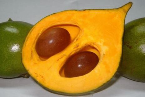 Lúcuma