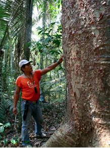 Screen Shot 2015-05-12 at 9.30.52 AM