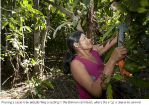 Screen Shot 2015-10-06 at 1.28.50 PM