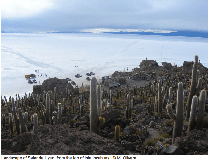 Screen Shot 2015-10-27 at 7.38.56 AM