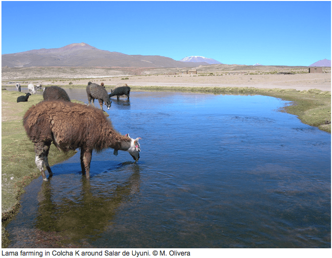 Screen Shot 2015-10-27 at 8.59.49 AM