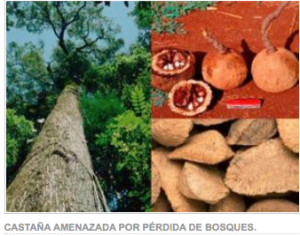 Screen Shot 2015-11-21 at 9.04.37 AM