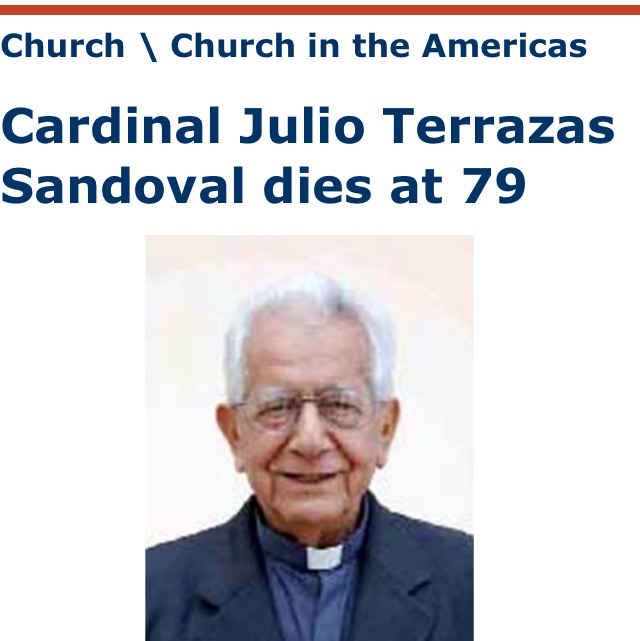Cardinal Julio