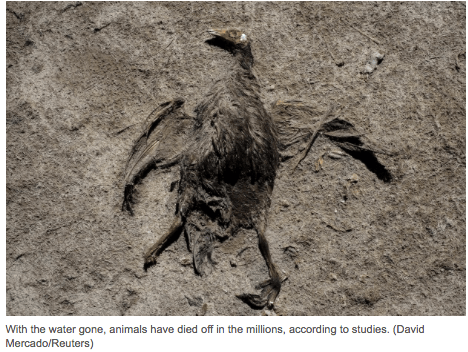 Screen Shot 2015-12-20 at 10.36.20 AM