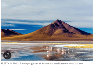 Screen Shot 2016-01-08 at 8.13.06 AM