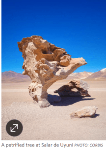 Screen Shot 2016-01-08 at 8.19.59 AM