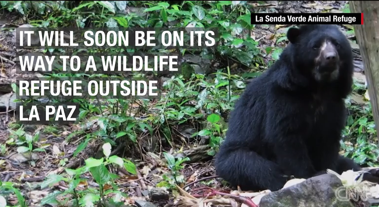 Screen Shot 2016-03-05 at 6.48.27 AM