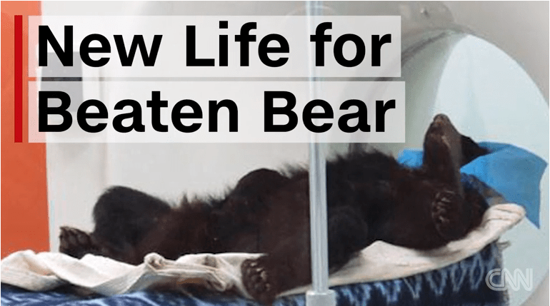 Screen Shot 2016-03-05 at 6.49.01 AM