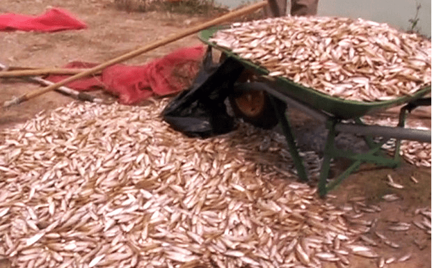 Screen Shot 2016-03-16 at 9.45.31 AM