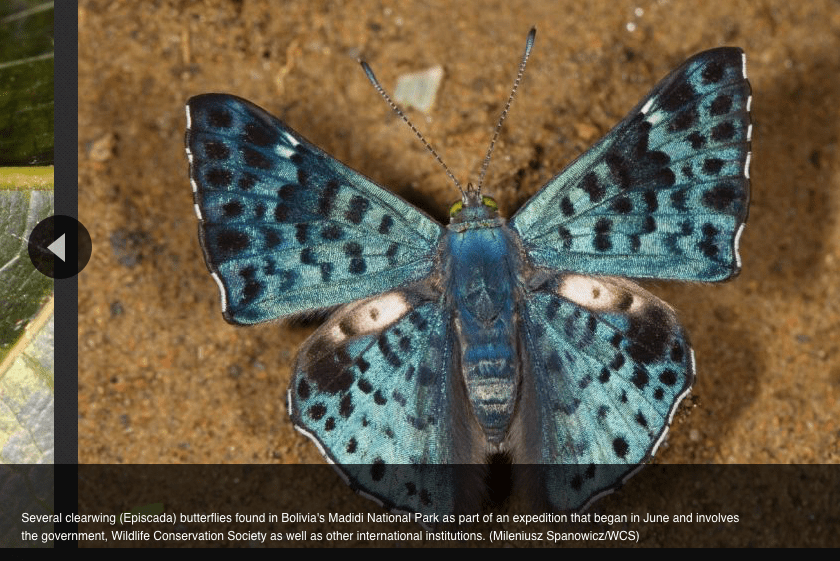 Screen Shot 2016-03-18 at 8.52.53 AM