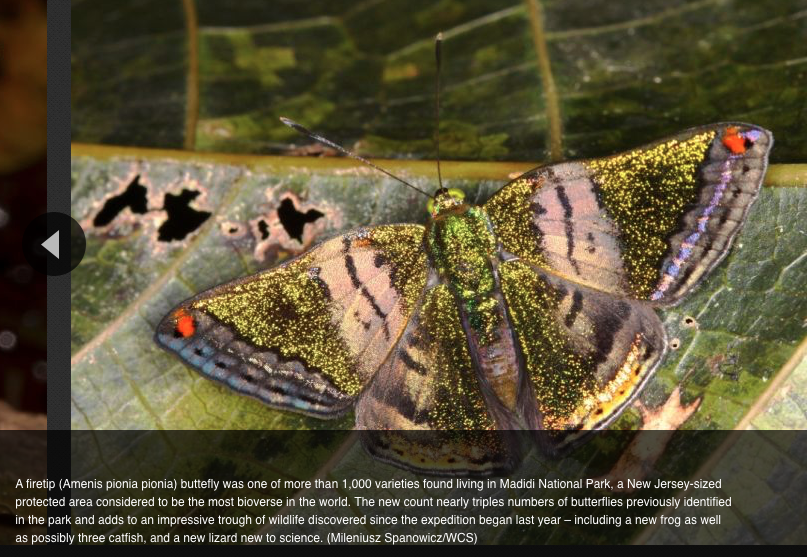 Screen Shot 2016-03-18 at 8.53.17 AM