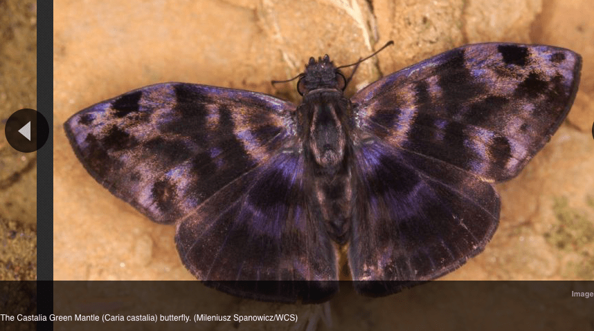 Screen Shot 2016-03-18 at 8.54.15 AM