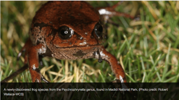 Screen Shot 2016-04-30 at 10.20.19 PM