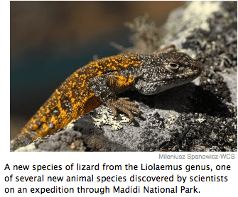 Screen Shot 2016-04-30 at 10.45.09 PM